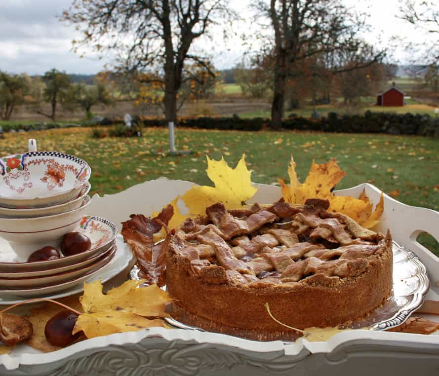 Äppelkaka med rutnät serverad på en bricka med höstlöv. Vidsträckt landskap i bakgrunden. 