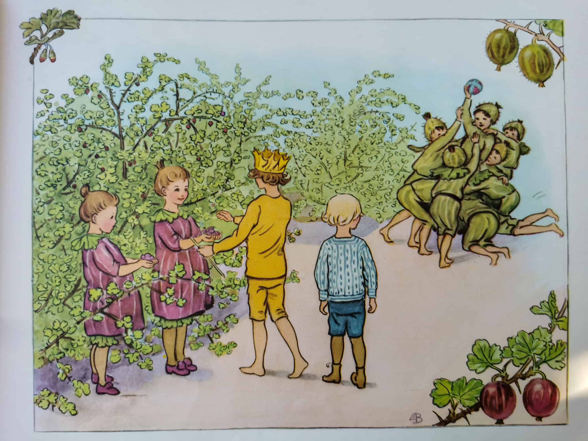 Bild från Elsa Beskow ur hennes bok lasse-Liten i trädgården (1923). Bilden är på krusbärspojkar och krusbärsflickor.